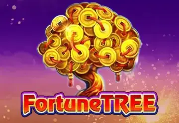 Fortune Tree - Spin City - Congo